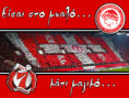 /album/fotogalerie/olympiakosfans-1024x768-142423-png1/